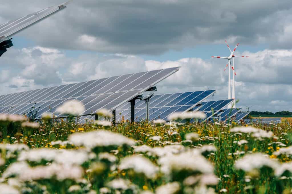 Photovoltaikanlagen und Windkraftanlagen auf einem Feld in Schwedt für nachhaltige Energie und innovative Start-ups in der Region.
